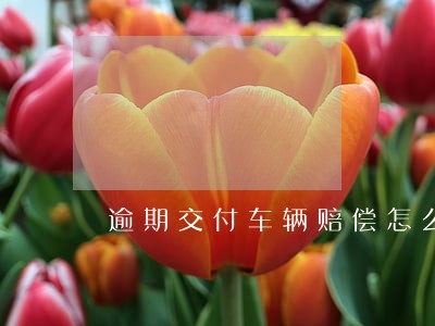 逾期交付车辆赔偿怎么算 逾期交付车辆赔偿怎么算