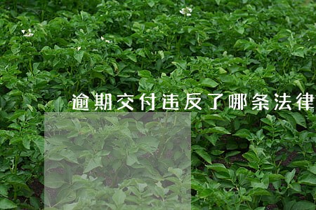 逾期交付违反了哪条法律 逾期交付违反了哪条法律