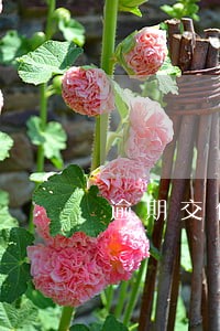 逾期交付违约责任没约定怎么判 逾期交付违约责任没约定怎么判