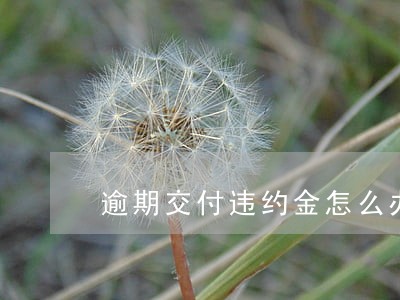 逾期交付违约金怎么办 逾期交付违约金怎么办
