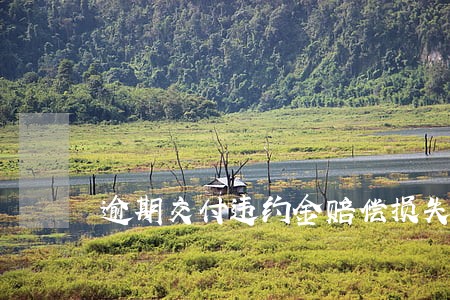逾期交付违约金赔偿损失 逾期交付违约金赔偿损失