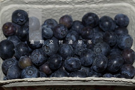逾期交付通知书 逾期交付通知书