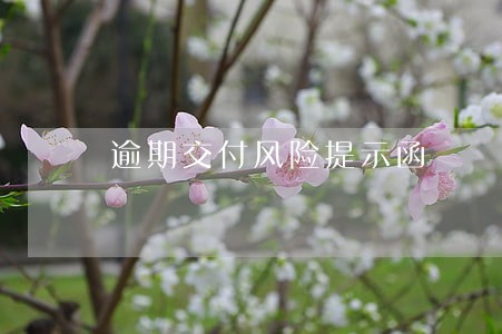 逾期交付风险提示函 逾期交付风险提示函