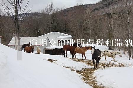 逾期交企业所得税和滞纳金 逾期交企业所得税和滞纳金