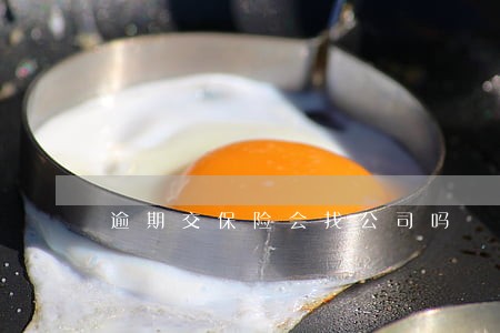 逾期交保险会找公司吗 逾期交保险会找公司吗