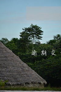 逾期交保险费保险公司可以拒赔吗 逾期交保险费保险公司可以拒赔吗