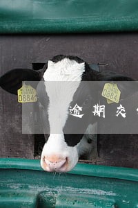 逾期交保险费用会有影响吗 逾期交保险费用会有影响吗