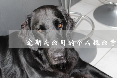 逾期交公司的个人税公章怎么盖 逾期交公司的个人税公章怎么盖