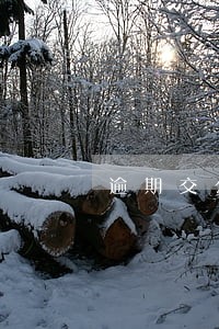 逾期交公积金 逾期交公积金