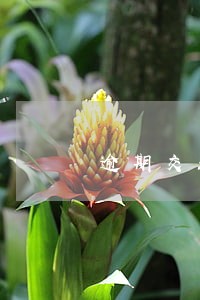 逾期交养老金为何要收利息 逾期交养老金为何要收利息