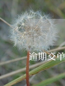 逾期交单违约金怎么算 逾期交单违约金怎么算