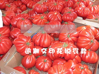 逾期交印花税罚款 逾期交印花税罚款