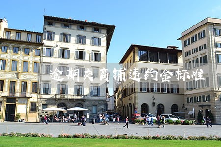 逾期交商铺违约金标准 逾期交商铺违约金标准