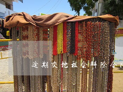 逾期交地租会解除合同吗