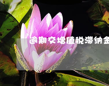 逾期交增值税滞纳金怎么算 逾期交增值税滞纳金怎么算