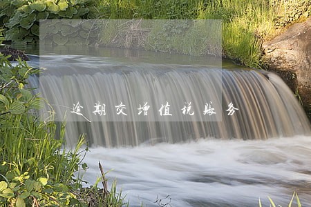 逾期交增值税账务 逾期交增值税账务