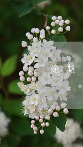 逾期交安置房的违约责任 逾期交安置房的违约责任
