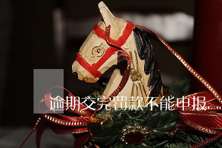 逾期交完罚款不能申报 逾期交完罚款不能申报