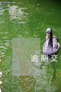 逾期交完罚款是自行申报吗 逾期交完罚款是自行申报吗