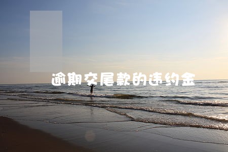 逾期交尾款的违约金 逾期交尾款的违约金