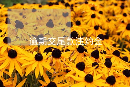 逾期交尾款违约金 逾期交尾款违约金