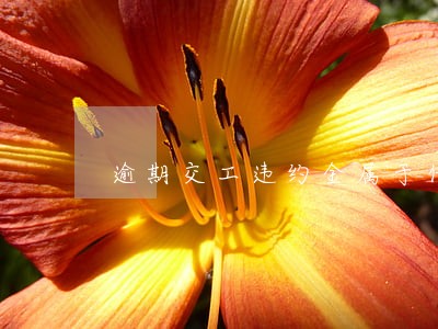 逾期交工违约金属于什么大项 逾期交工违约金属于什么大项