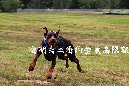 逾期交工违约金最高限额 逾期交工违约金最高限额