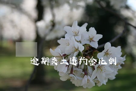 逾期交工违约金比例 逾期交工违约金比例