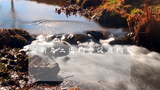 逾期交工违约金没有约定 逾期交工违约金没有约定