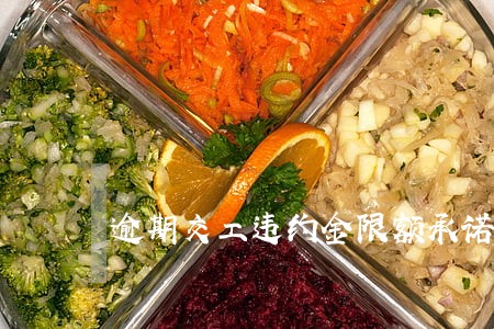 逾期交工违约金限额承诺书 逾期交工违约金限额承诺书