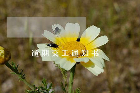 逾期交工通知书 逾期交工通知书