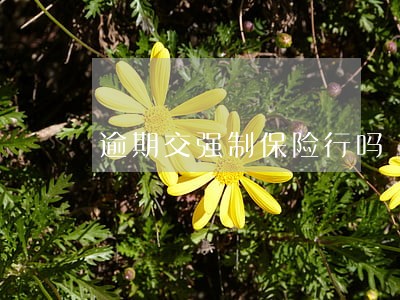 逾期交强制保险行吗 逾期交强制保险行吗