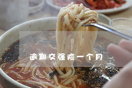 逾期交强险一个月 逾期交强险一个月
