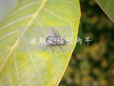 逾期交强险两年 逾期交强险两年