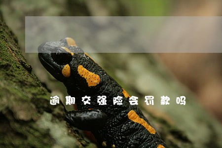 逾期交强险会罚款吗 逾期交强险会罚款吗