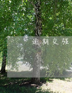 逾期交强险多少钱一年 逾期交强险多少钱一年