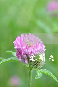 逾期交房赔偿银行贷款利息吗 逾期交房赔偿银行贷款利息吗