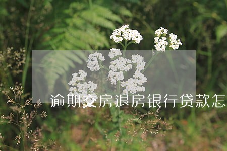 逾期交房退房银行贷款怎么办 逾期交房退房银行贷款怎么办