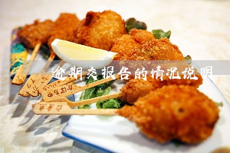 逾期交报告的情况说明 逾期交报告的情况说明