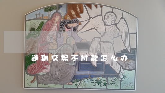 逾期交易不付款怎么办 逾期交易不付款怎么办