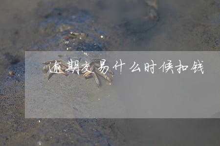 逾期交易什么时候扣钱 逾期交易什么时候扣钱