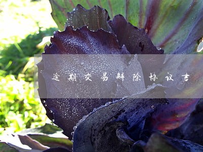逾期交易解除协议书 逾期交易解除协议书