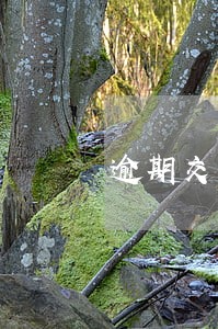 逾期交易违约信息什么意思 逾期交易违约信息什么意思