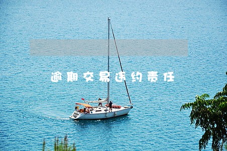 逾期交易违约责任 逾期交易违约责任
