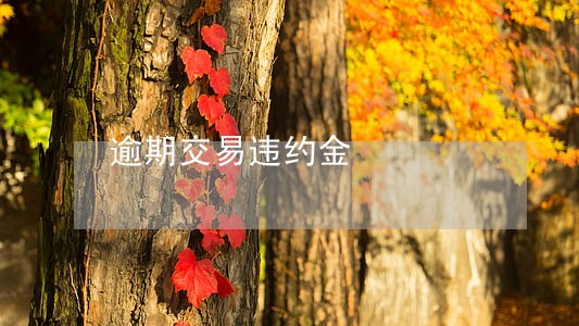 逾期交易违约金 逾期交易违约金