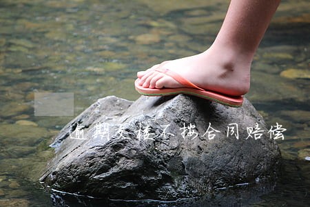 逾期交楼不按合同赔偿 逾期交楼不按合同赔偿
