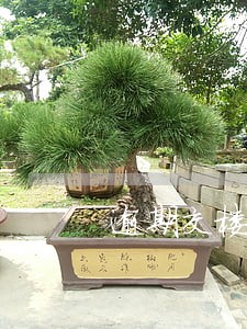 逾期交楼但没有合同 逾期交楼但没有合同