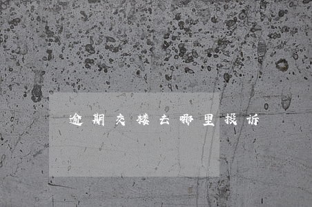 逾期交楼去哪里投诉 逾期交楼去哪里投诉