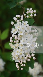 逾期交楼可以退房要书面通知 逾期交楼可以退房要书面通知