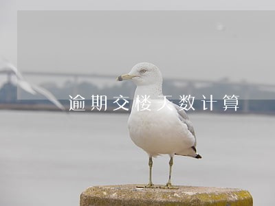 逾期交楼天数计算 逾期交楼天数计算